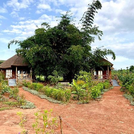 Rutete Eco Lodge Rwinkwavu エクステリア 写真
