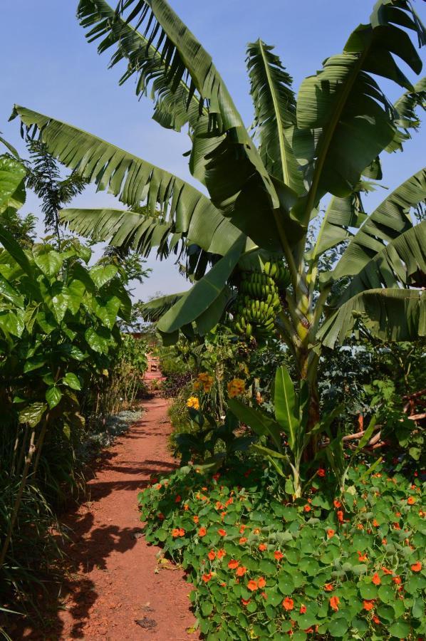 Rutete Eco Lodge Rwinkwavu エクステリア 写真