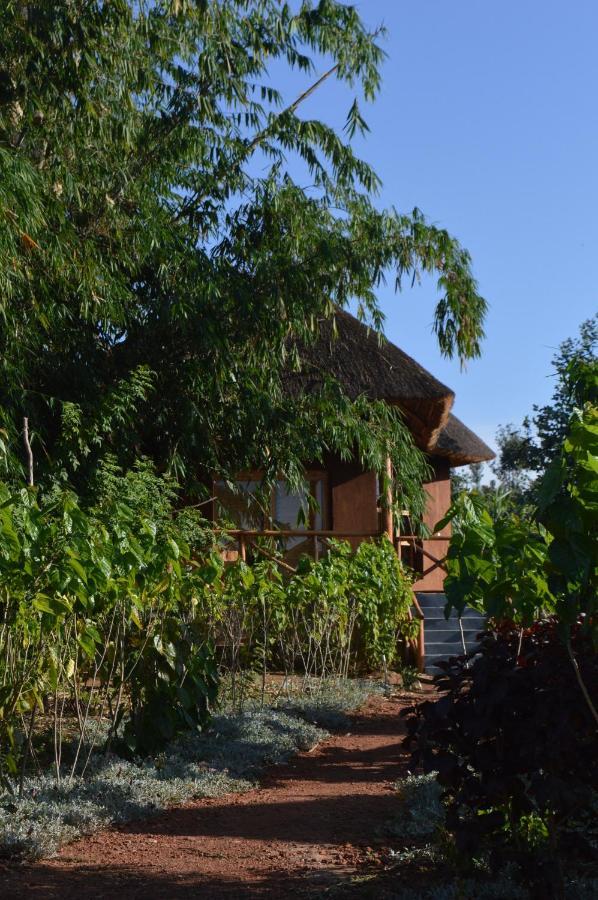 Rutete Eco Lodge Rwinkwavu エクステリア 写真