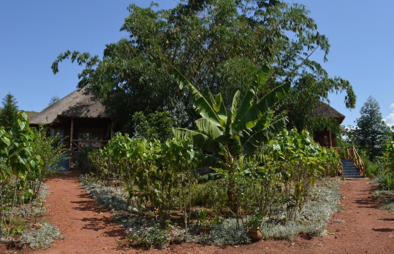 Rutete Eco Lodge Rwinkwavu エクステリア 写真