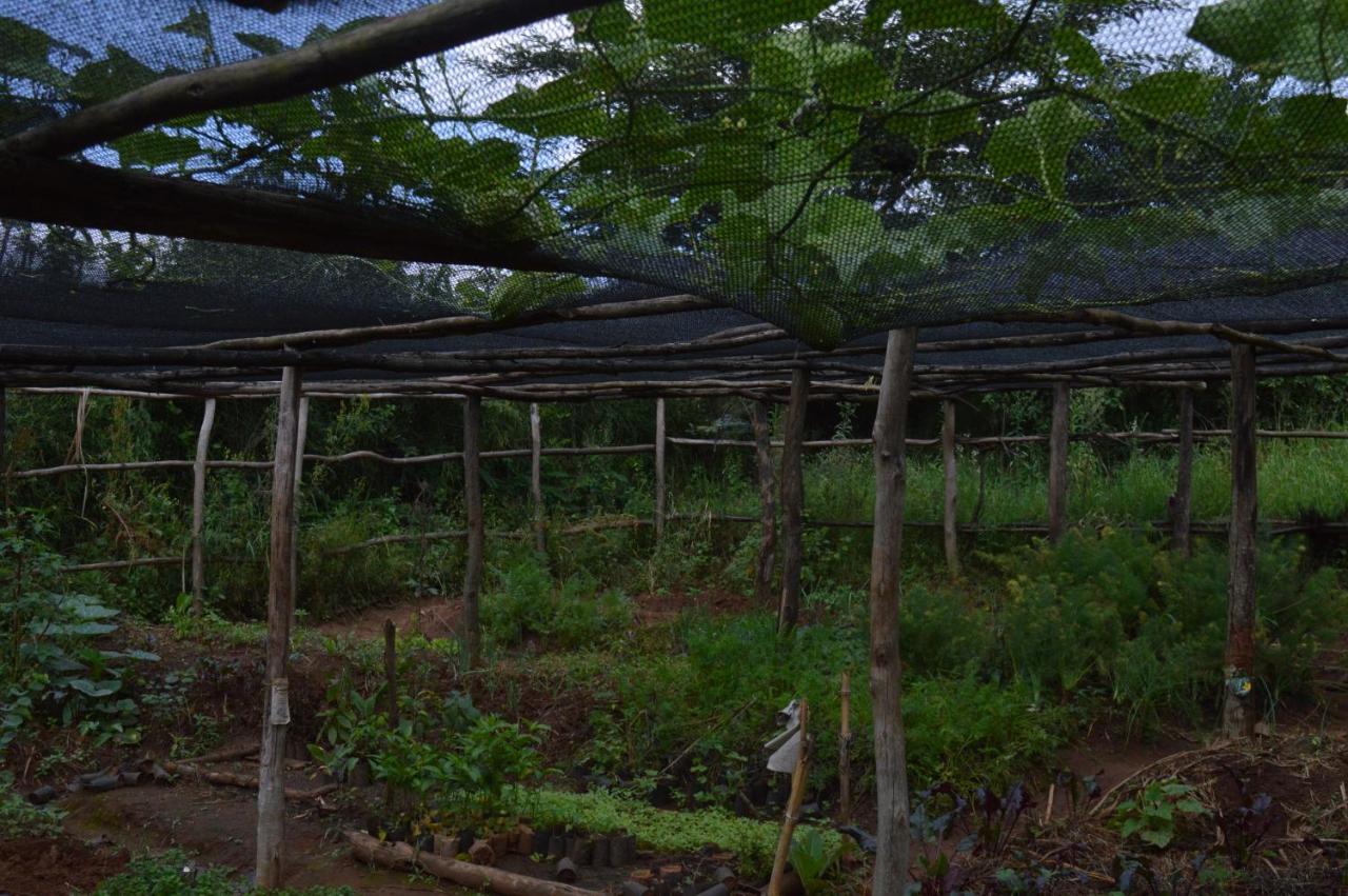 Rutete Eco Lodge Rwinkwavu エクステリア 写真