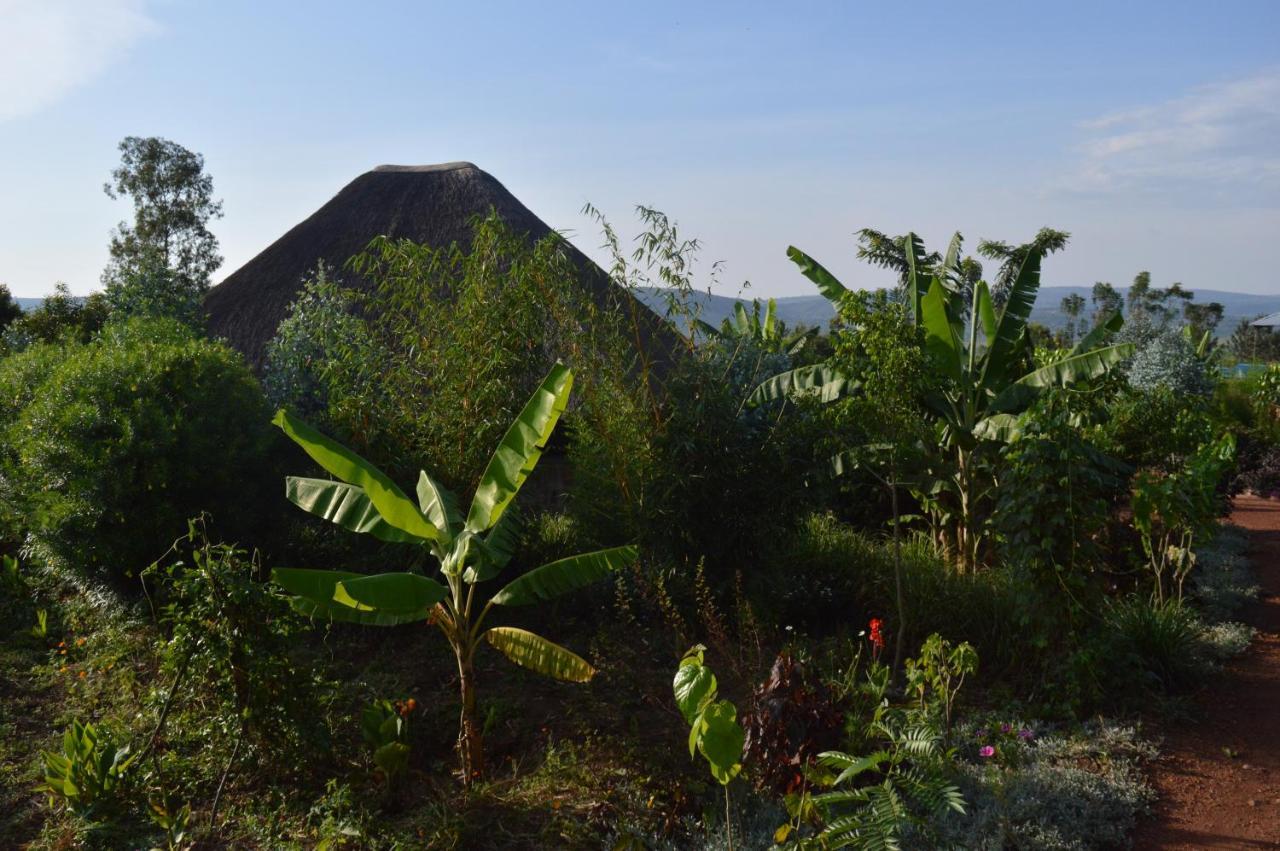 Rutete Eco Lodge Rwinkwavu エクステリア 写真