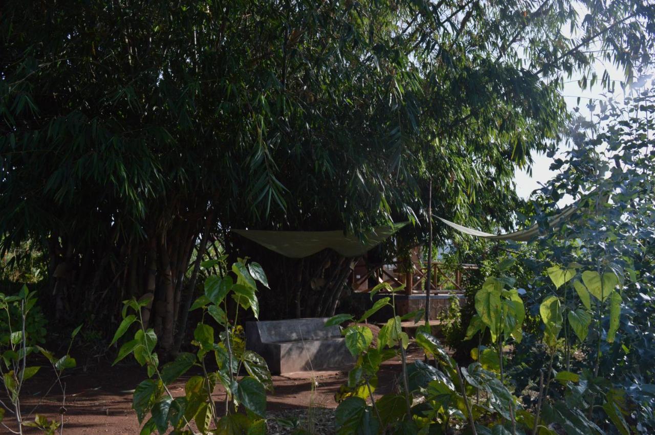 Rutete Eco Lodge Rwinkwavu エクステリア 写真
