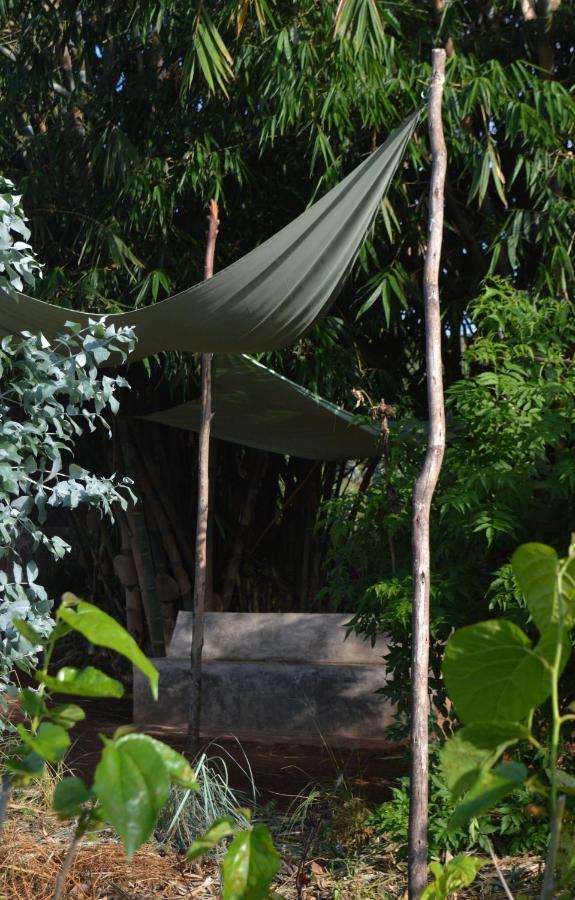 Rutete Eco Lodge Rwinkwavu エクステリア 写真