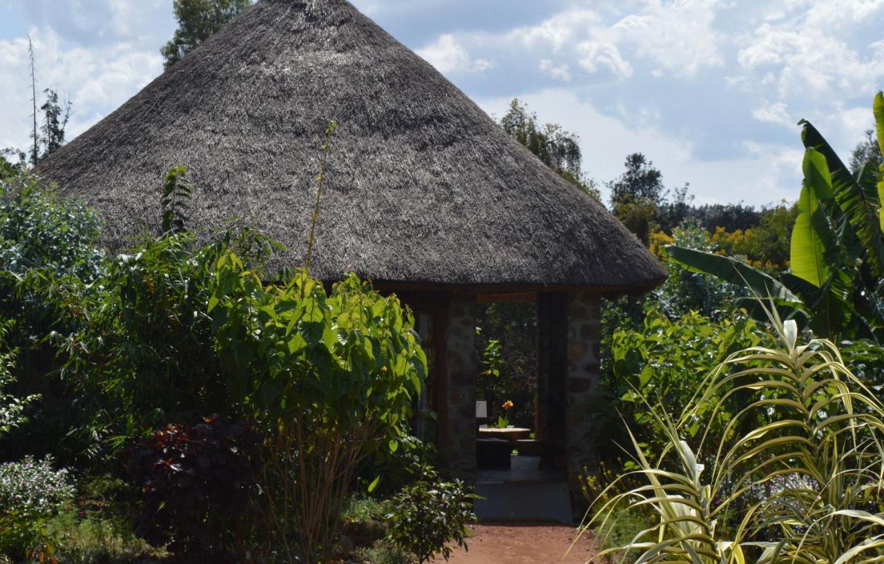 Rutete Eco Lodge Rwinkwavu エクステリア 写真