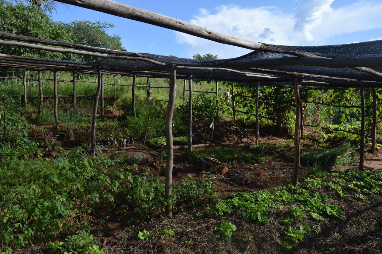 Rutete Eco Lodge Rwinkwavu エクステリア 写真